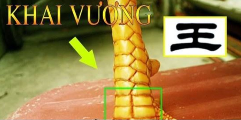 Dấu hiệu nhận biết vảy Khai Vương