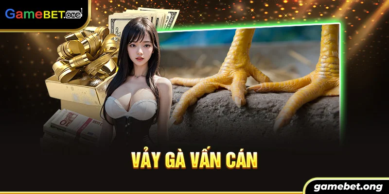 vảy gà vấn cán