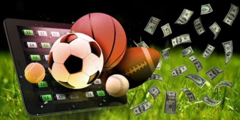 Các loại cược thể thao được nhiều bet thủ lựa chọn