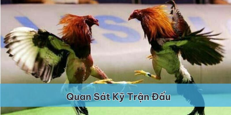 Quan sát kỹ các trận đấu để không bị lỡ những pha đánh quyết định