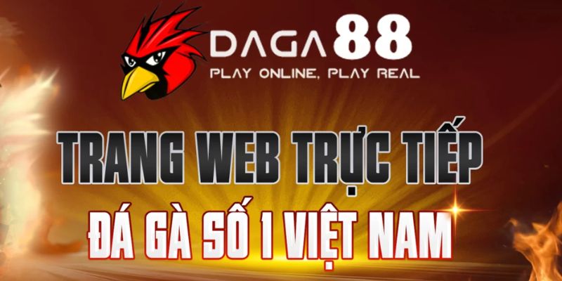 Web Daga88 xem đá gà -  trực tuyến nhanh nhất